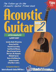 acoustic guitar primer bert casey